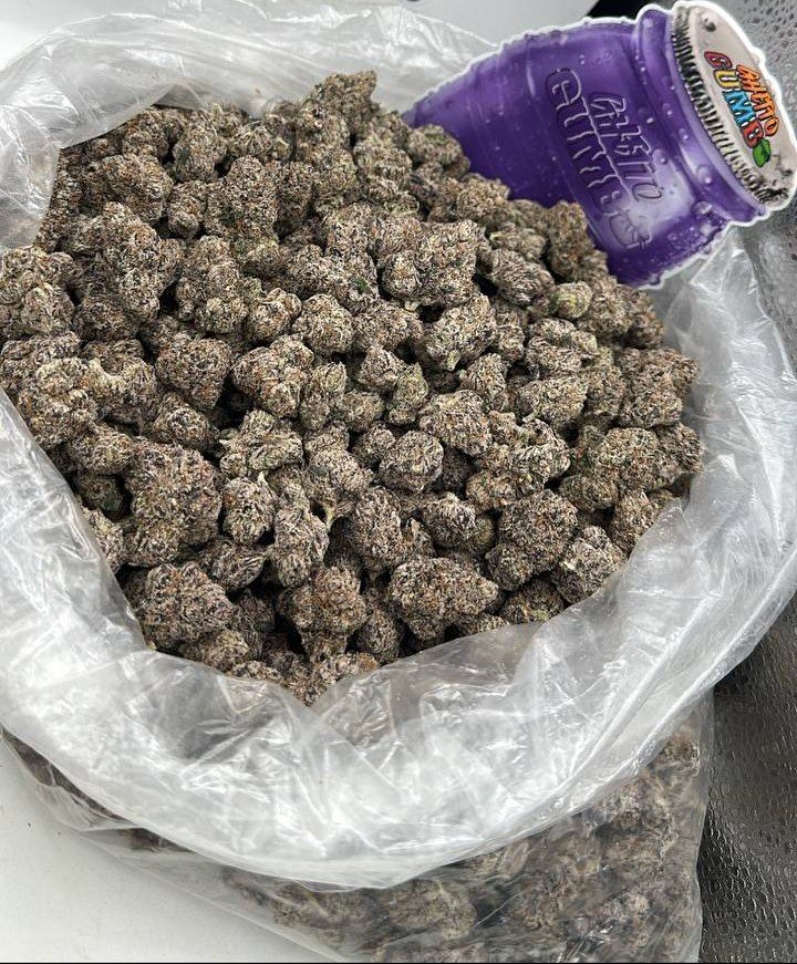 Ghetto Gumbo Strain - Image 2