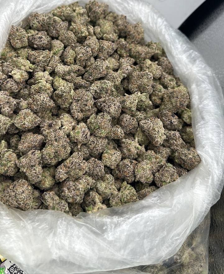 Stack Or Starve Gumbo Strain - Image 2