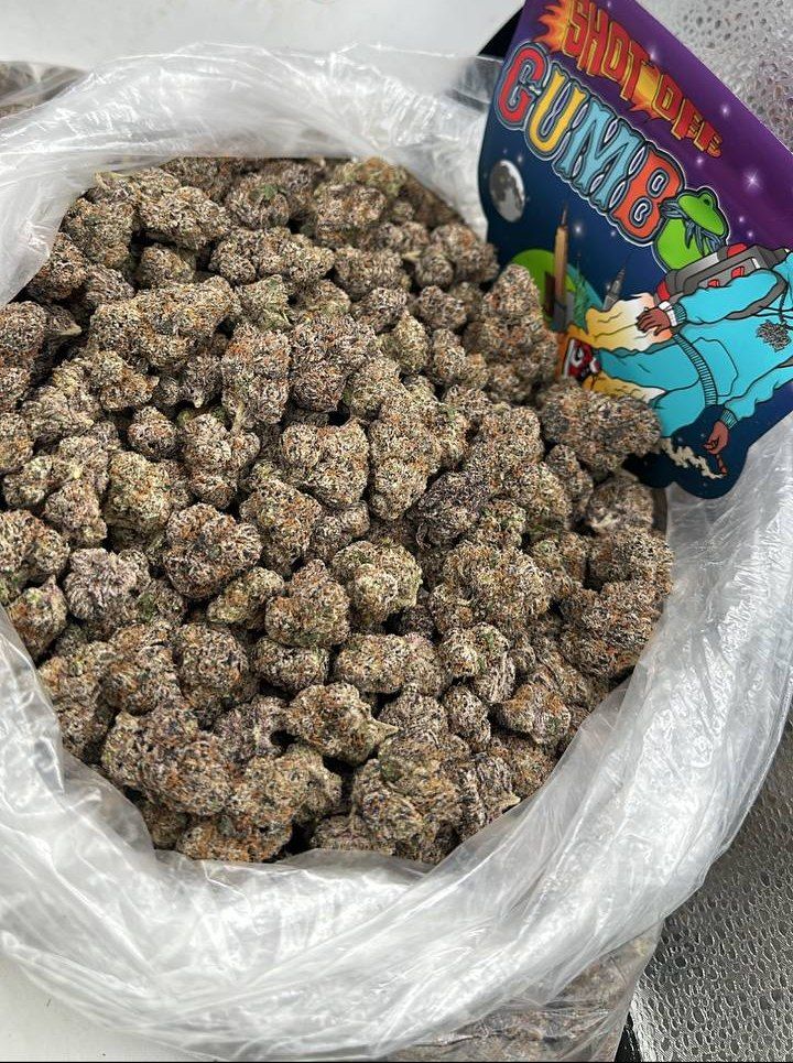 ShotOff Gumbo Strain - Image 2